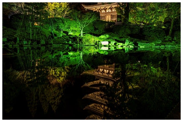 瑠璃光寺のライトアップ カメラ散歩