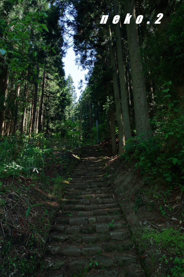 青鬼神社 白馬村 さまよって さまよって 青鬼神社 白馬村 さまよって さまよって