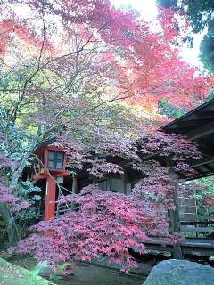 秘境の紅葉・大原野神社