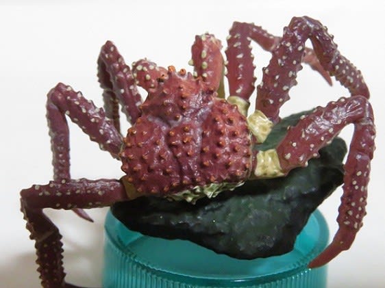 北海道大物産展 北海のタラバガニ お気楽忍者のブログ 弐の巻
