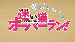 10年前半期テレビアニメのキャラクターコメンタリー収録状況まとめ Vanteyのアース線 もしくは枯れた資料帳