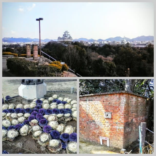 男山配水池公園 姫路市 Saoの猫日和