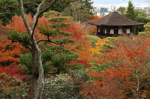 koyo0047.jpg: 京都。銀閣と紅葉