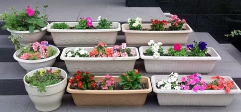 プランターの花を春 夏用に植え替えました ５月下旬 タケさんのブログ