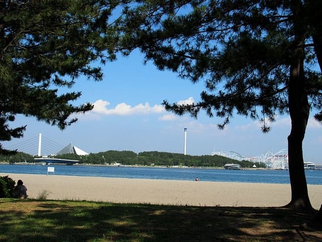 青い海と空～横浜海の公園 - 庭先の四季