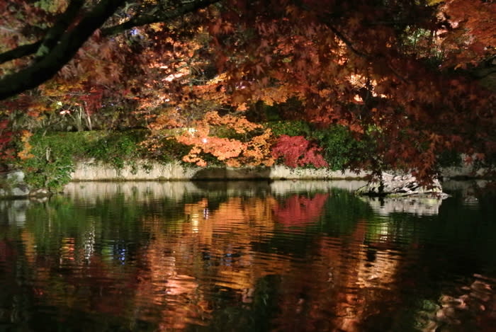  2012年京都紅葉の旅３　『禅林寺・永観堂』　ライトアップ - コダワリの女のひとりごと(Minettyの旅とグルメ）
