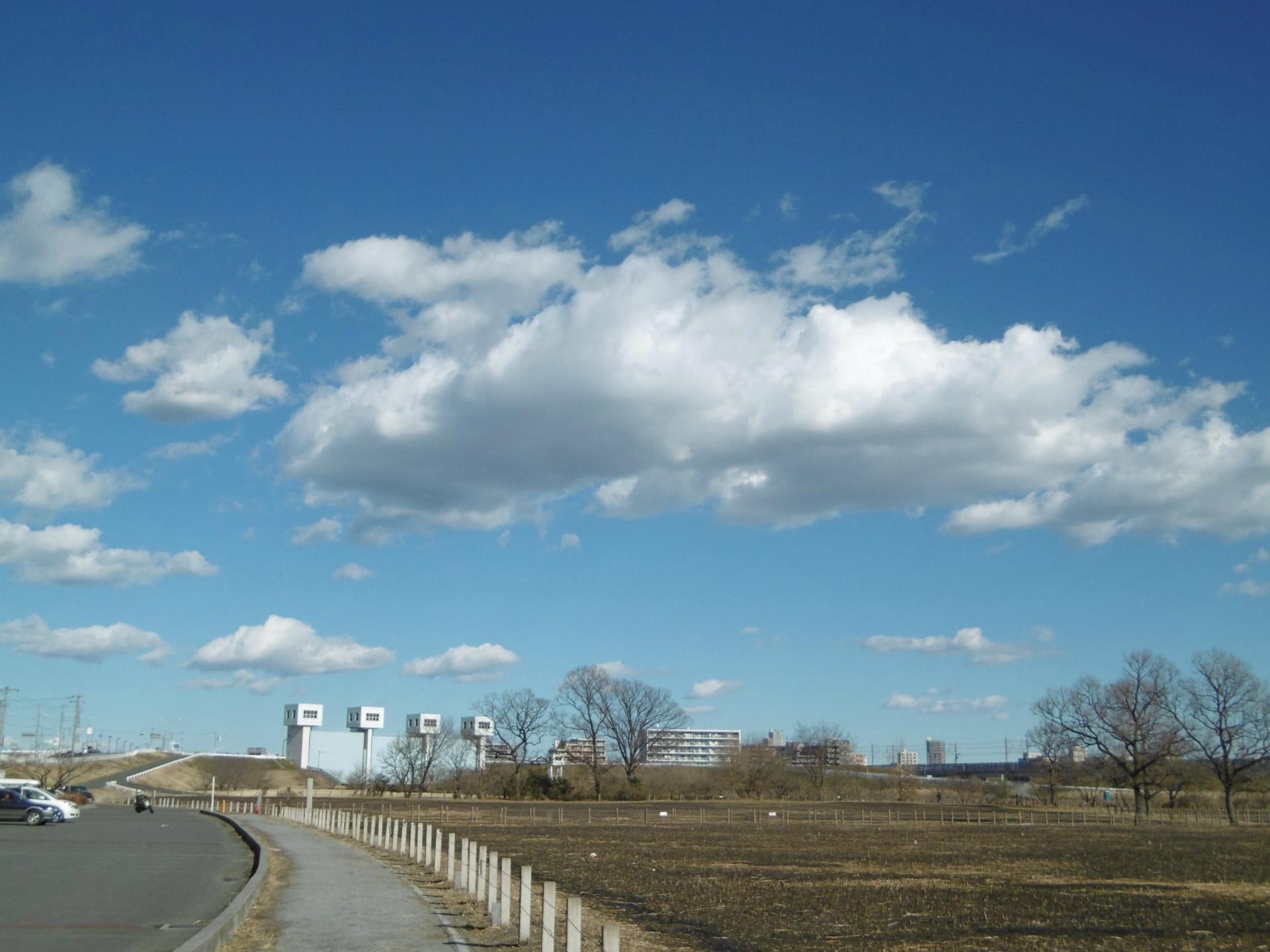 荒川土手散歩 Kobby Loves 埼玉 レッズ 荒川土手散歩 Kobby Loves 埼玉 レッズ