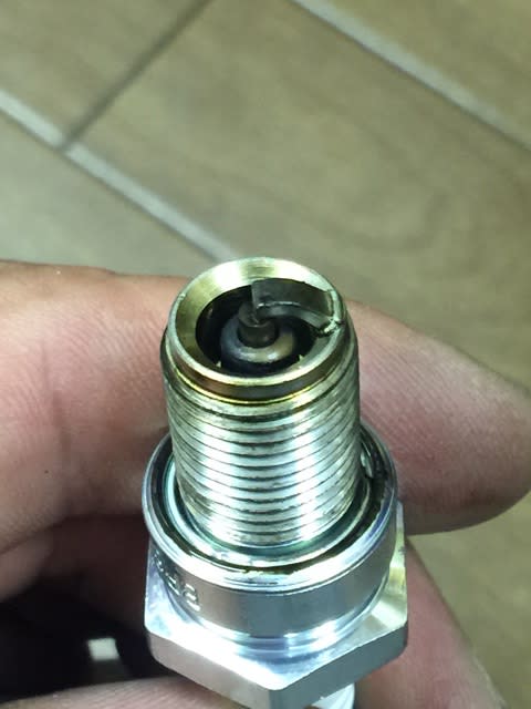 イメージ 7