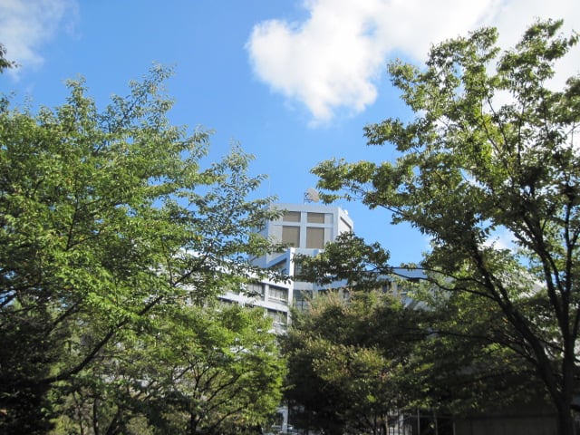 イメージ 1