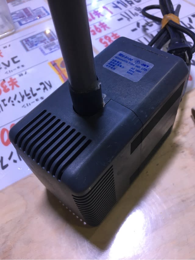 新品 Rio+3100 50hz カミハタ 水中ポンプ リオプラス リオ 310