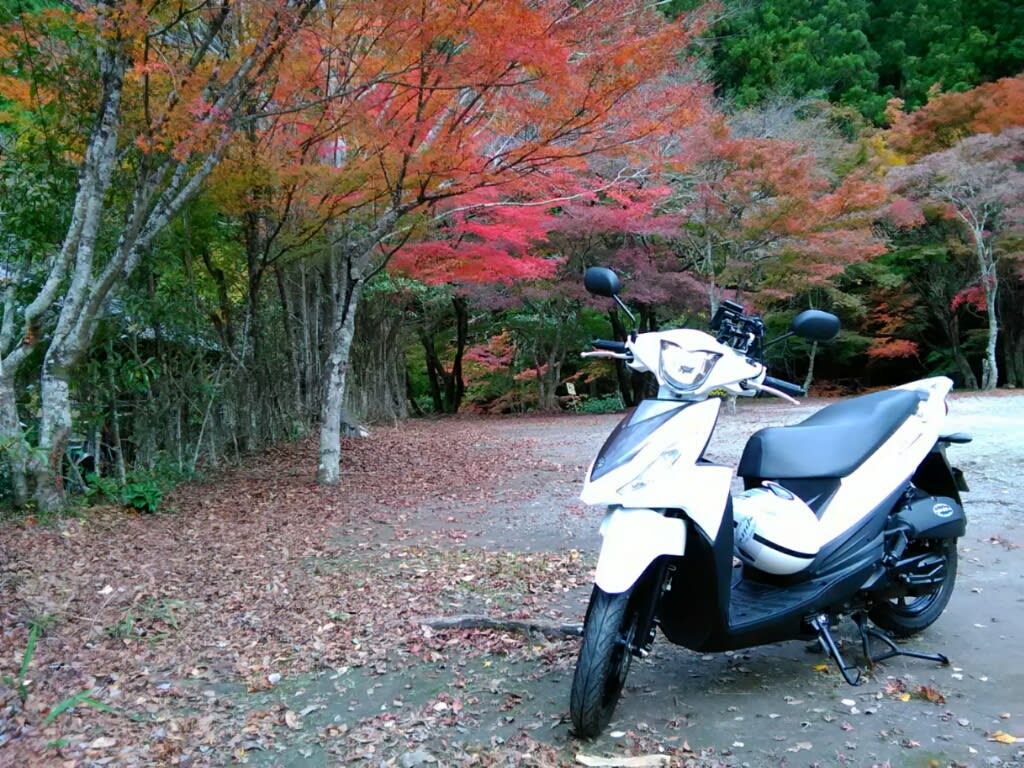 くらがり渓谷の紅葉 閑人 Kazu