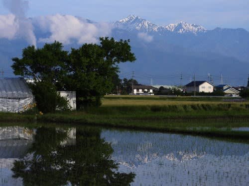 田圃の水面に写りこんだ常念岳と横通岳