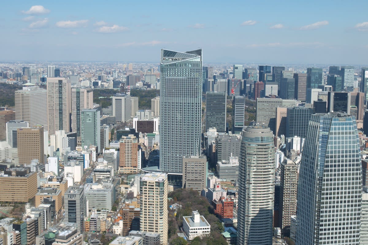 厳冬の東京タワー 特別展望台 標高２７０メートル からの眺め ｐａｒｔ１ 緑には 東京しかない