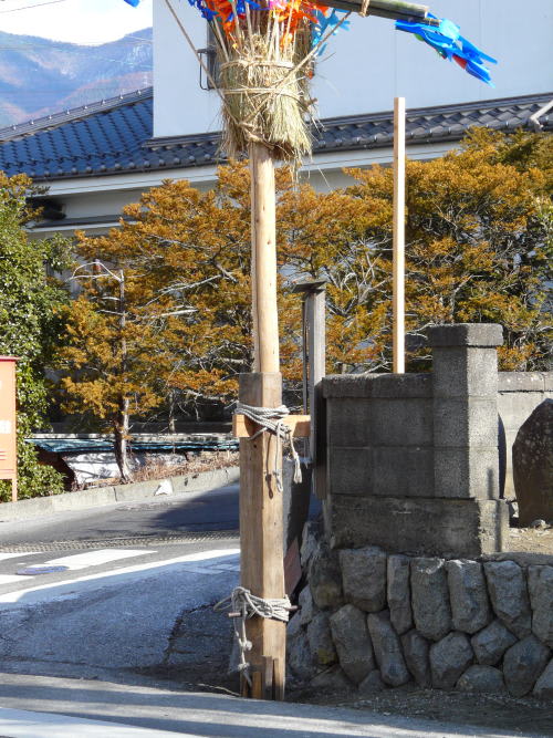 松本市内田北花見地区の御柱