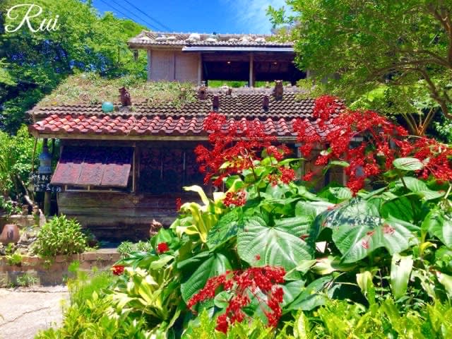 やちむん喫茶 シーサー園 本部町 あふれる想い 美の追究旅 やちむん喫茶 シーサー園 本部町 あふれる想い 美の追究旅