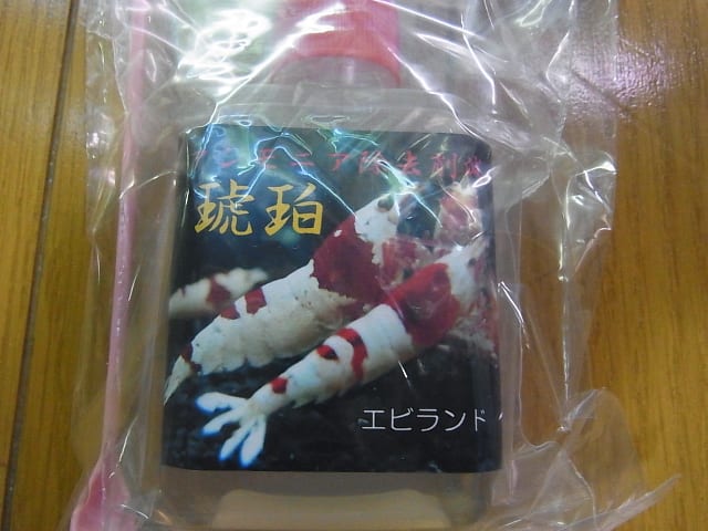 イメージ 4