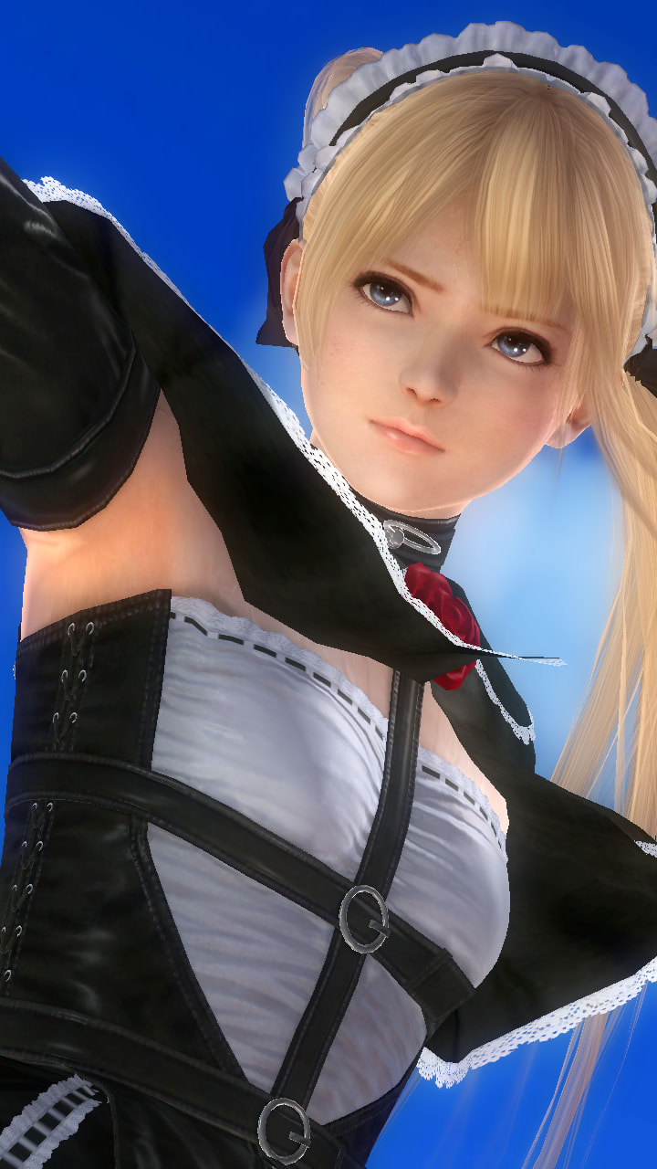 dead or alive 5 last round mods ps4