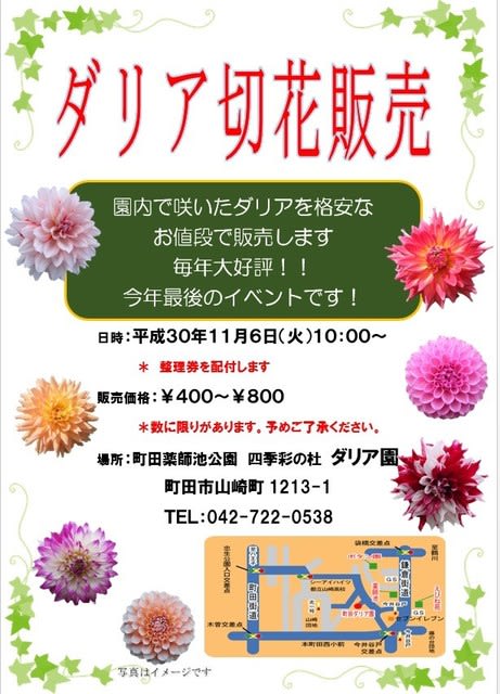 切花販売のお知らせ 現在のダリア園の様子です ようこそ 町田ダリア園のブログです
