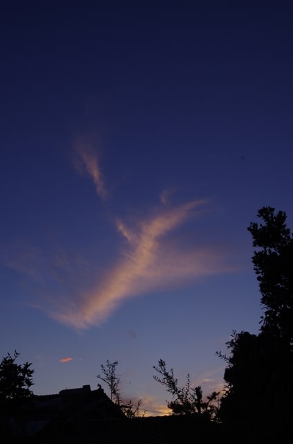 不死鳥の羽 雲村 Kumo Hmlak