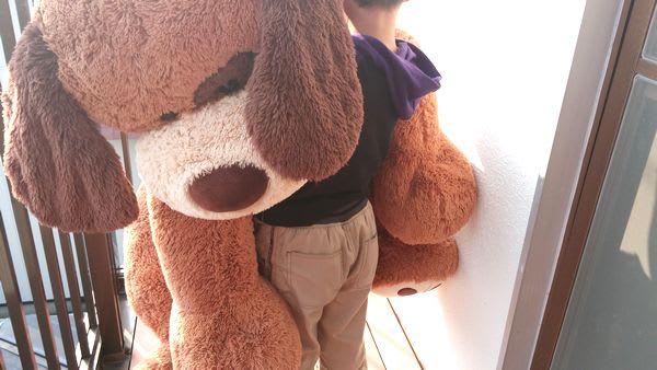 コストコ 大きな犬のぬいぐるみ Costco A Big Stuffed Animal アオサンだーjp