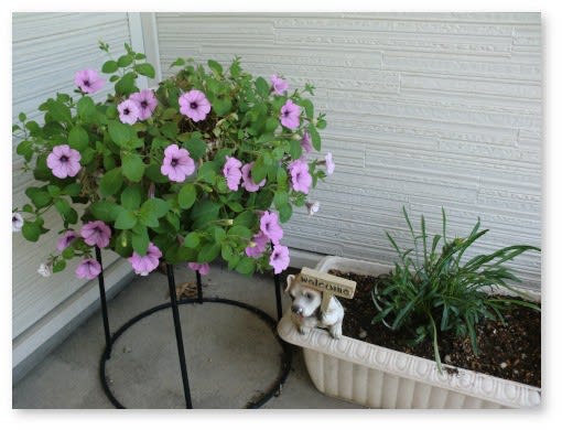 元同僚の葬儀に参列 肝臓がんについて 電網郊外散歩道 元同僚の葬儀に参列 肝臓がんについて 電網郊外散歩道