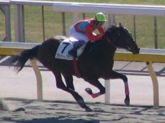東京競馬1R勝ち馬、プライベートプランと武豊