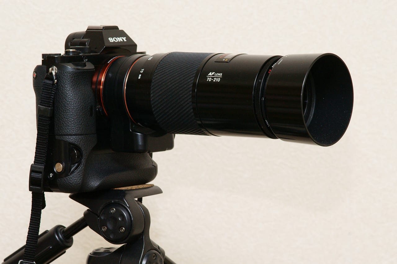 Minolta AF 70-210 F4 - 花鳥虫風月 Minolta AF 70-210 F4 - 花鳥虫風月