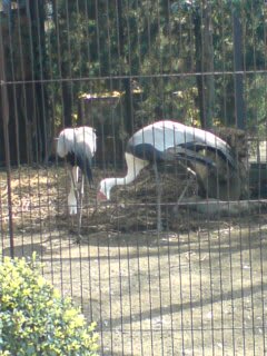 20090419150131.jpg
