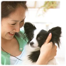 「「オバマ犬」騒ぎに日本の捨て犬・捨て猫た」の質問画像