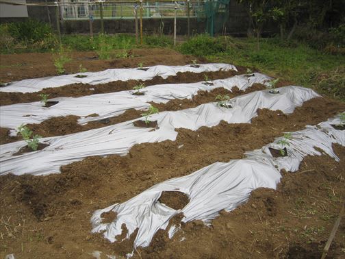 農事メモ のブログ記事一覧 回覧板