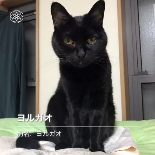 黒いし くろうめこうめ 黒いし くろうめこうめ