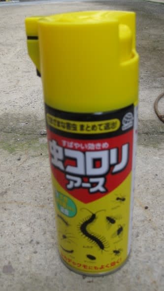 痒み止めと花壇 家の害虫退治薬 猫とお花が大好きな お笑い系のクリスチャン 痒み止めと花壇 家の害虫退治薬 猫とお花が大好きな お笑い系のクリスチャン