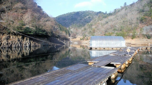 佐仲ダムで念願の１束超え 気まま釣行記