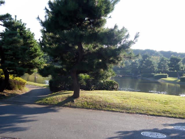 賑やかなテニスコートと寂しいプール 続々々 稲毛海浜公園 千葉市 北へ南へ 東へ西へ