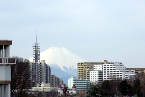 富士山が見えました