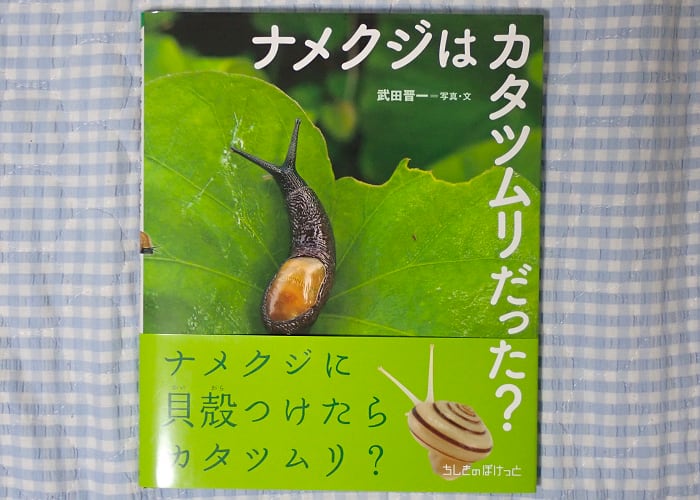 ナメクジはカタツムリだった 探索 採集 飼育みたいな雑記的記録 ナメクジはカタツムリだった 探索 採集 飼育みたいな雑記的記録
