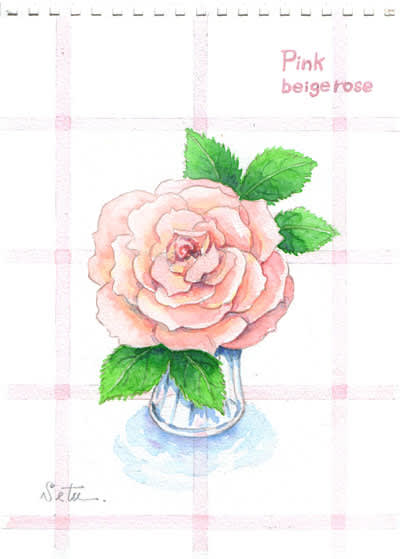 ピンクベージュのバラ おさんぽスケッチ にじいろアトリエ 水彩 色鉛筆イラスト スケッチ