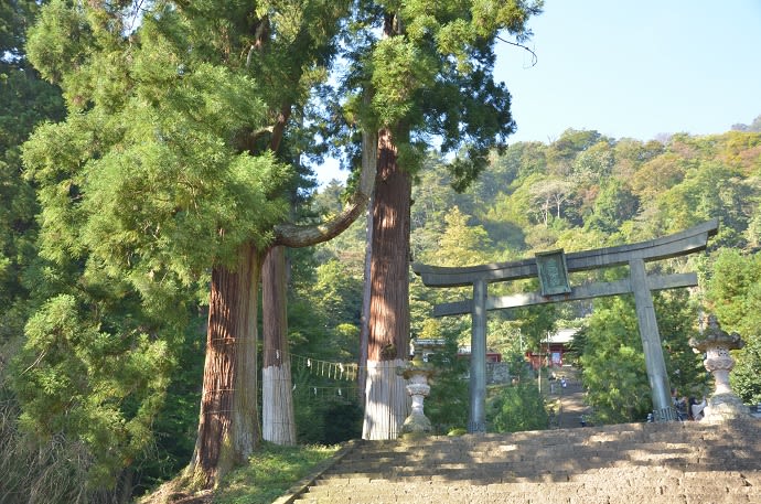 妙義神社 花 うらら 妙義神社 花 うらら
