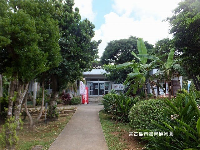 7 26探鳥記録写真 2 宮古島の思い出 12 宮古島の観光スポット 宮古島熱帯植物園 探鳥チャンネル
