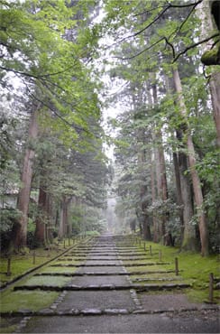 Photo Photo
