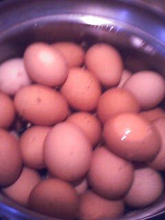 卵を６０個♪