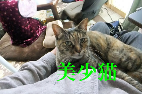 イメージ 1