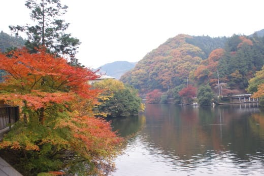 鎌北湖の紅葉 ｙａｍａｓａ空夢日記