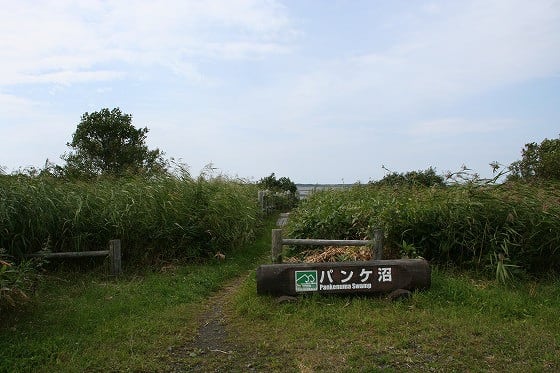 パンケ沼 天塩郡幌延町 あぁ つかれる