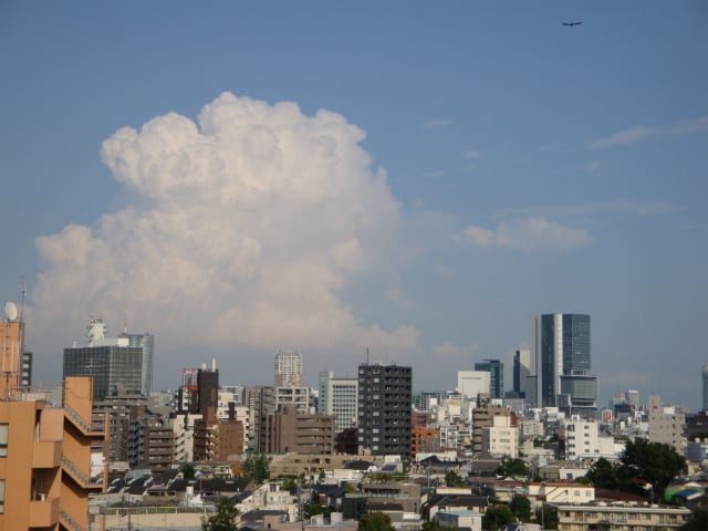 会社の屋上から見た景色 大山町 渋谷方面 社会空間研究所 建築 まちづくり通信 会社の屋上から見た景色 大山町 渋谷方面 社会空間研究所 建築 まちづくり通信
