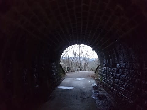 旧天城トンネル北口園地 前略 道の上より 14 旧天城トンネル北口園地 前略 道の上より 14