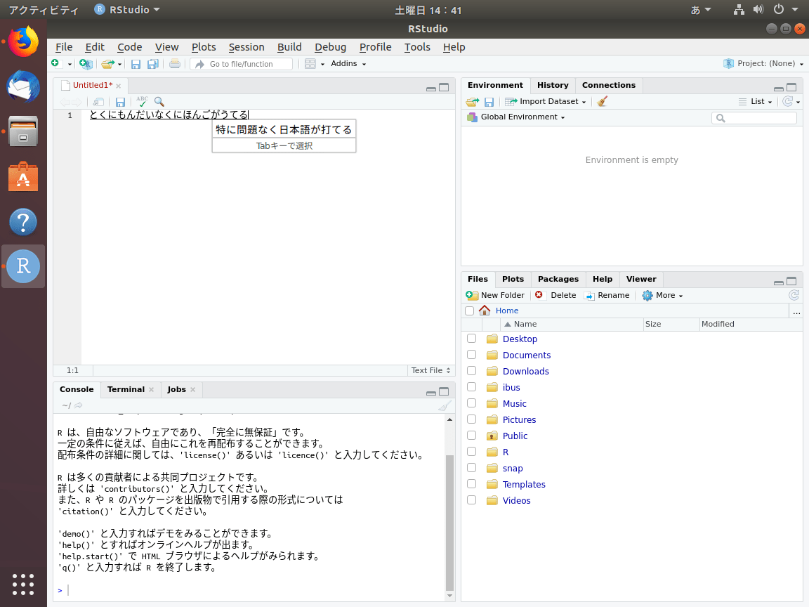 rstudio 日本 語 に する