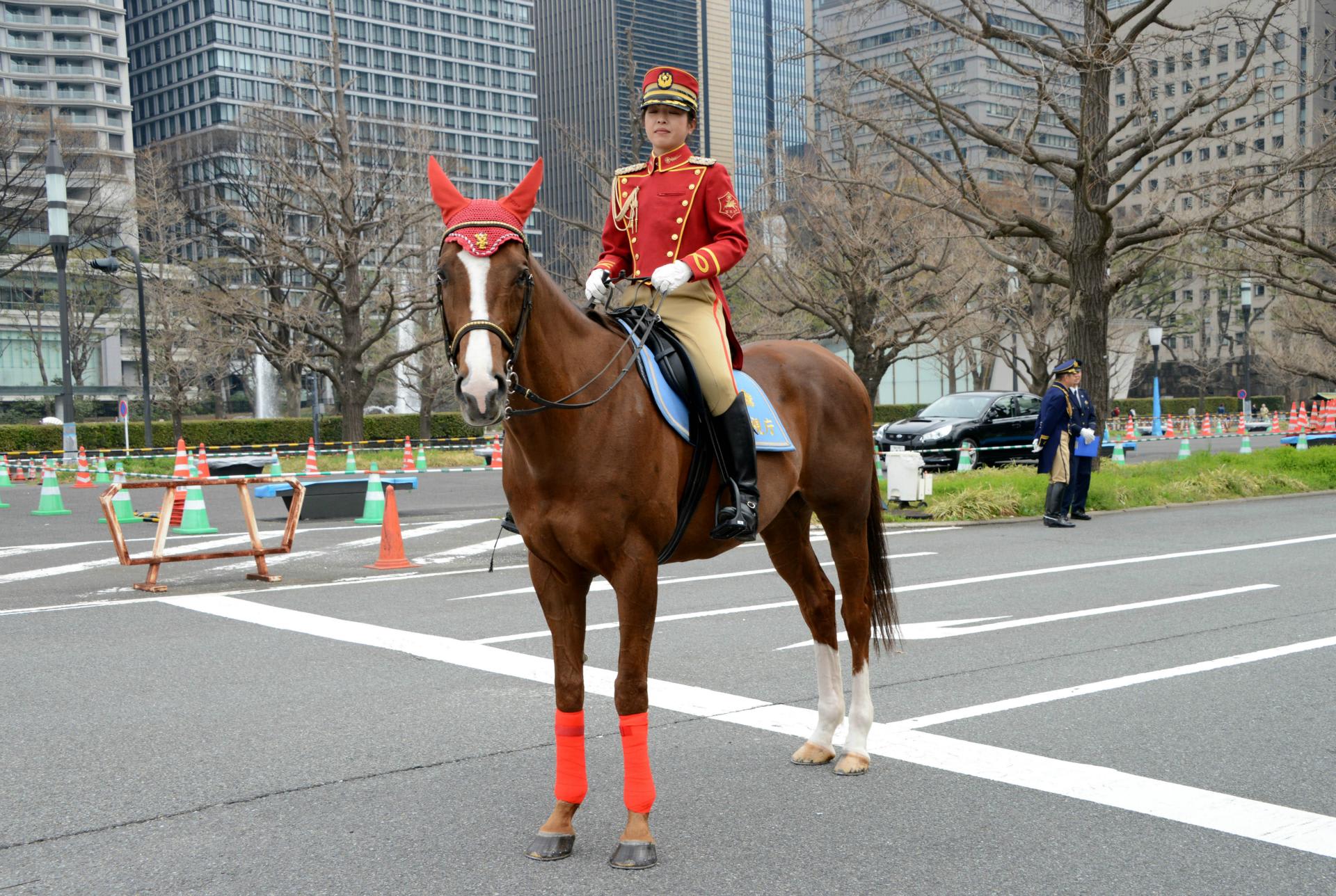 警視庁 騎馬隊 １ 北の大地そして東京