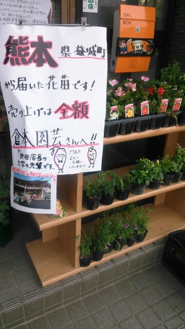 熊本から届いた花苗 倉本園芸応援プロジェクト さつまいも農カフェきらら
