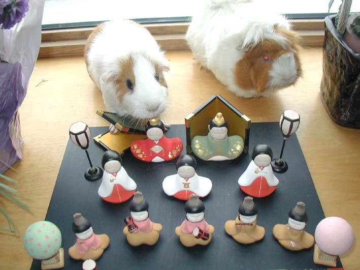 3 1 ー 可愛いけど ふとどきものです モルモット ドリーム キャッチャー Dream Catcher